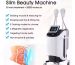 EMS Slim Machine RF Beauty Therapy